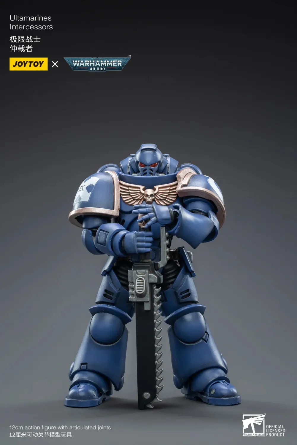 Ultramarines Intercessor - Imagen 3