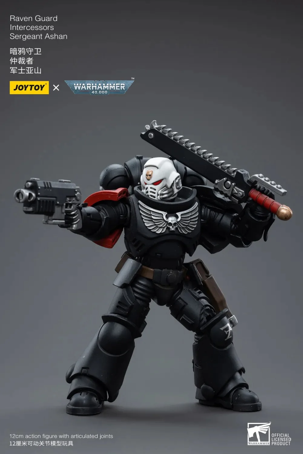 Raven Guard Intercessors Sergeant Ashan - Imagen 5