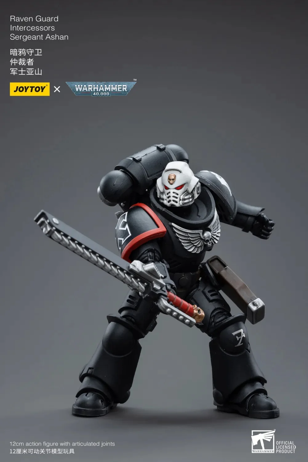 Raven Guard Intercessors Sergeant Ashan - Imagen 6