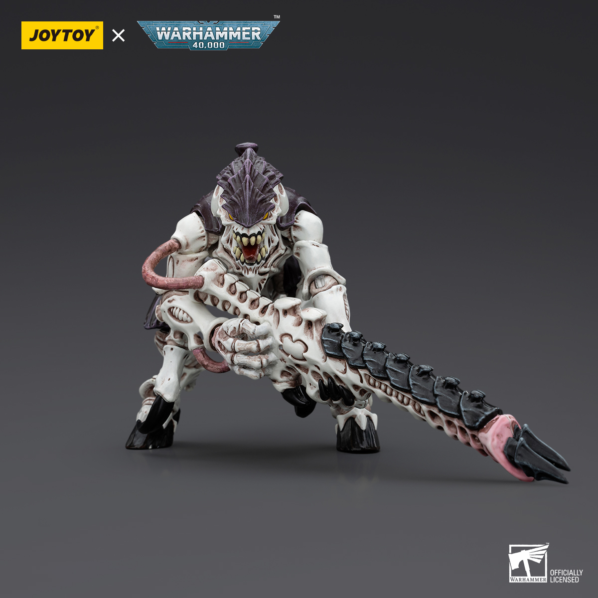 Tyranids Hive Fleet Leviathan - Imagen 2