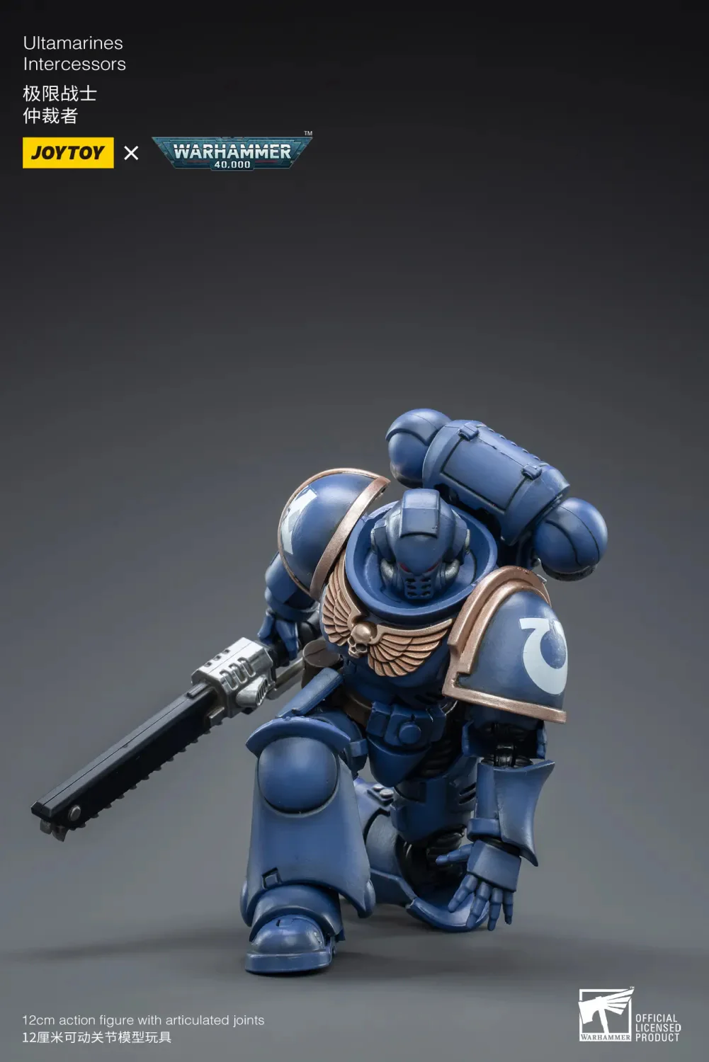 Ultramarines Intercessor - Imagen 6