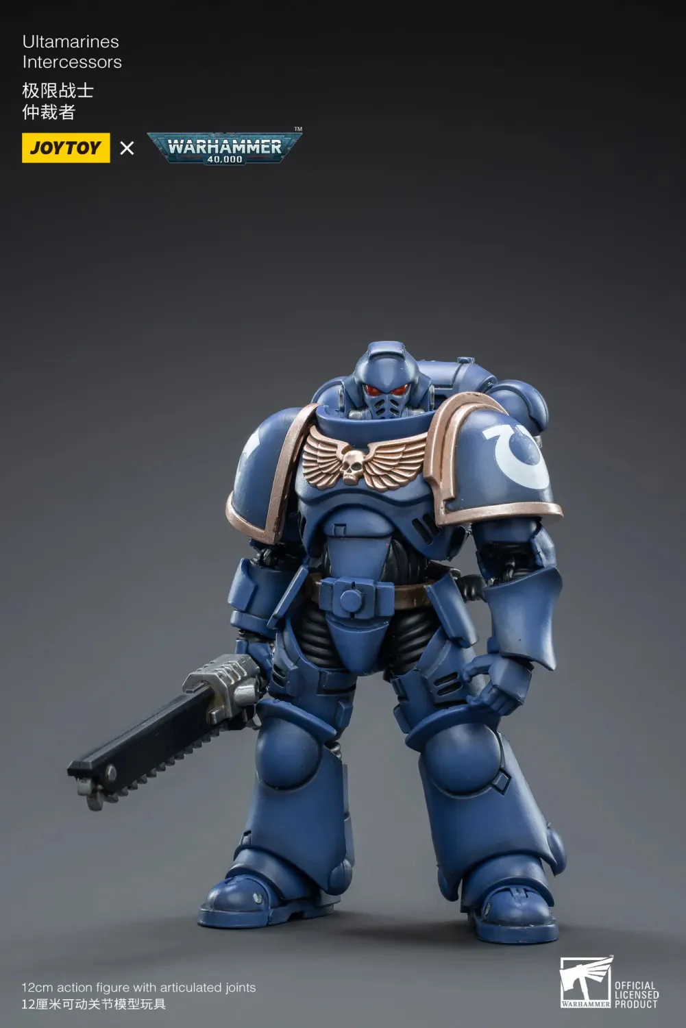 Ultramarines Intercessor - Imagen 2