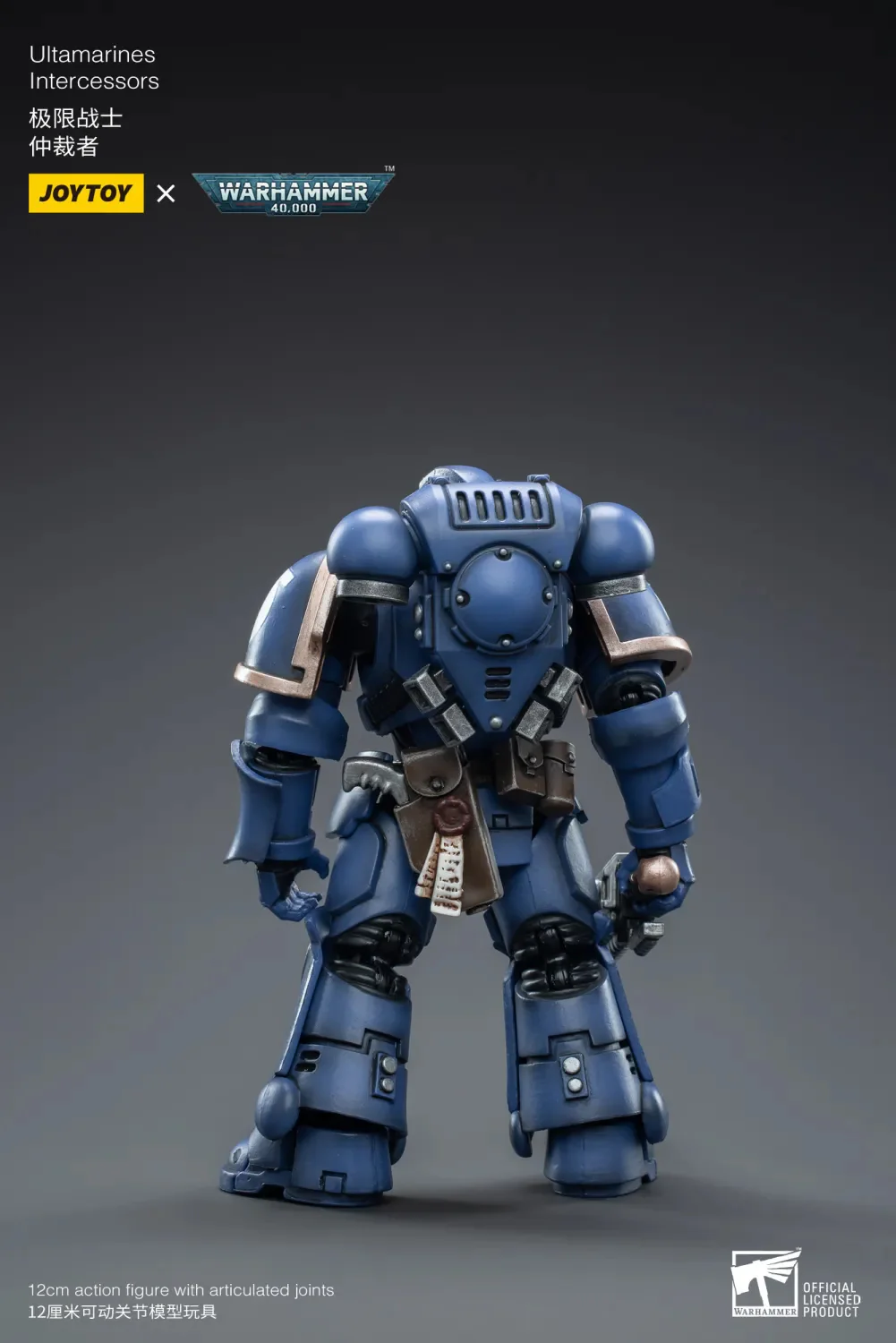 Ultramarines Intercessor - Imagen 5