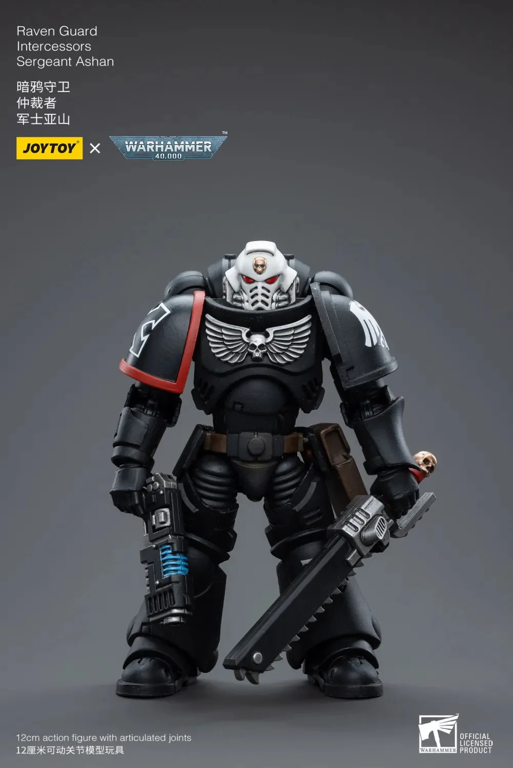 Raven Guard Intercessors Sergeant Ashan - Imagen 7