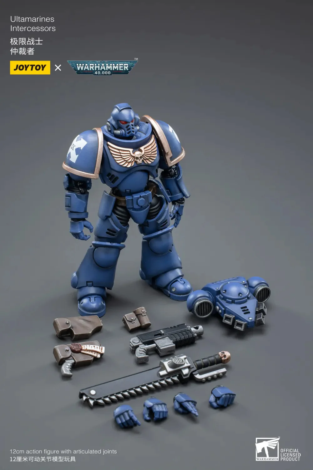 Ultramarines Intercessor