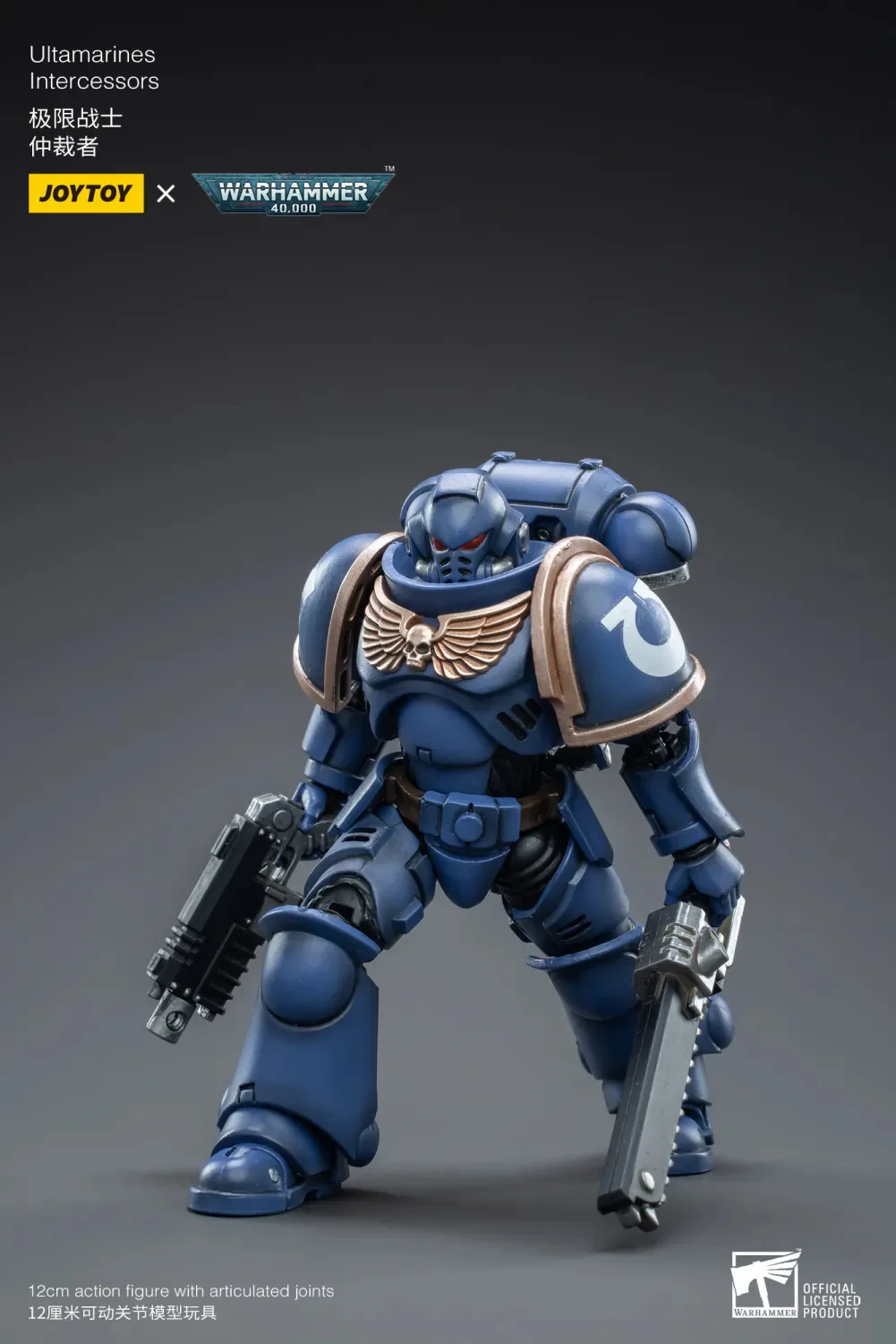 Ultramarines Intercessor - Imagen 4