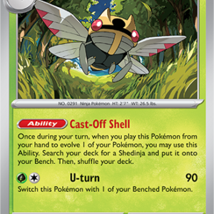 NINJASK 017/132